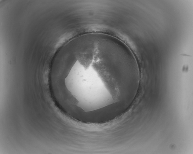 X0000095110010200712071228