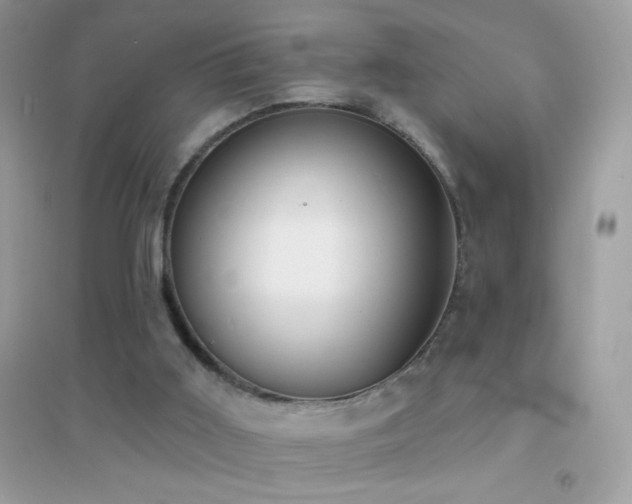 X0000095110011200712071228