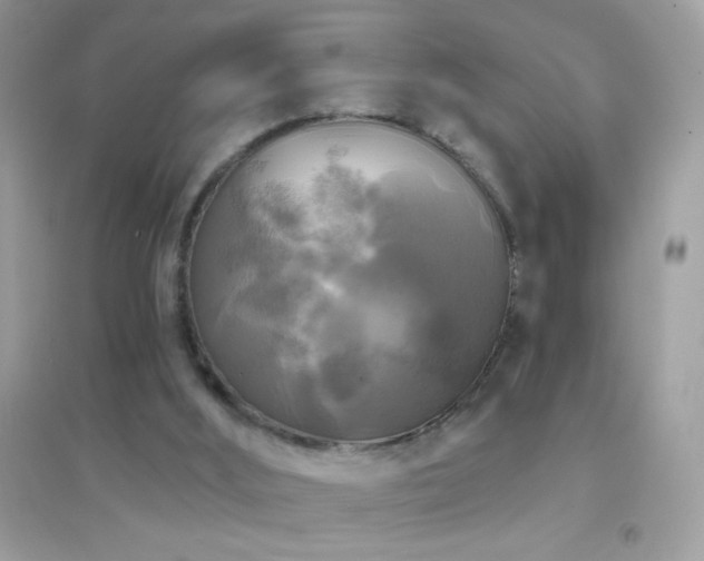 X0000095110012200712071228