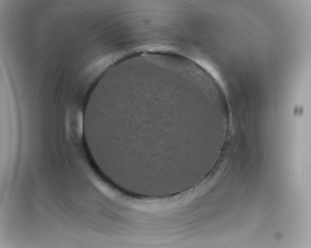 X0000095110013200712071228