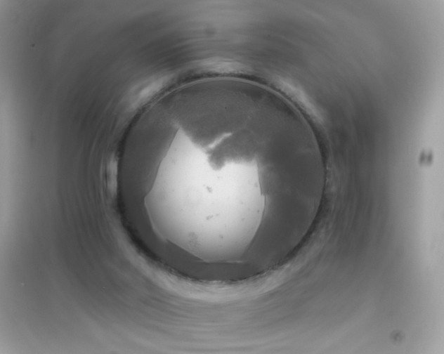 X0000095110014200712071228