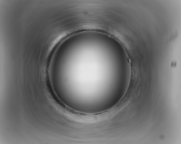 X0000095110015200712071228