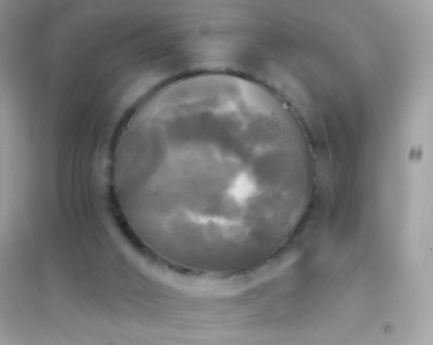 X0000095110016200712071228