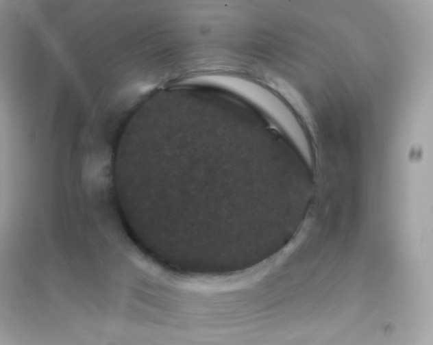 X0000095110017200712071228