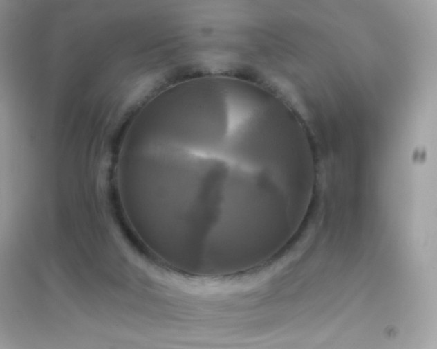 X0000095110018200712071228