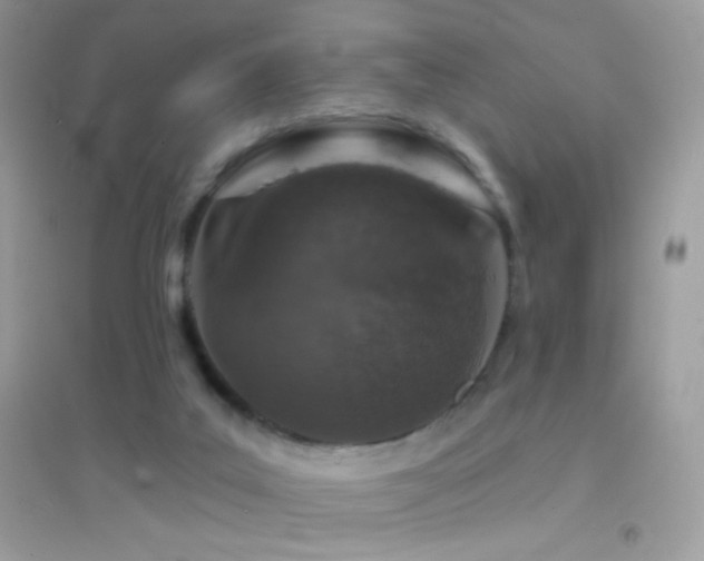 X0000095110019200712071228