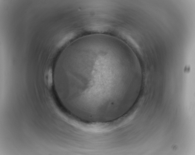 X0000095110020200712071228