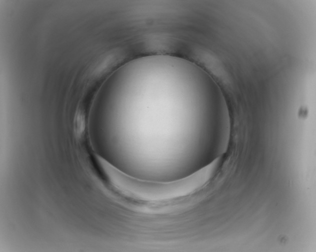 X0000095110021200712071228