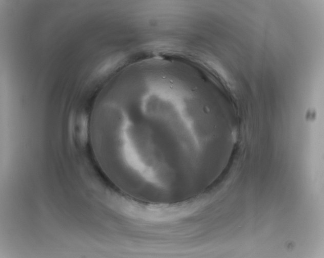 X0000095110022200712071228