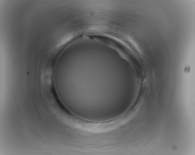 X0000095110023200712071228