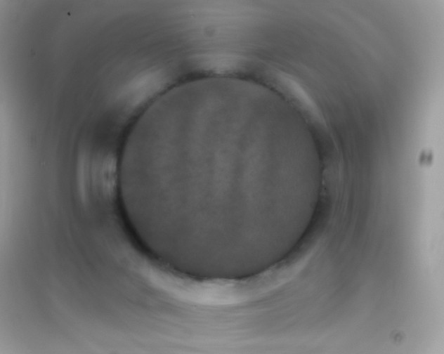 X0000095110024200712071228