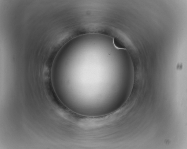 X0000095110025200712071228