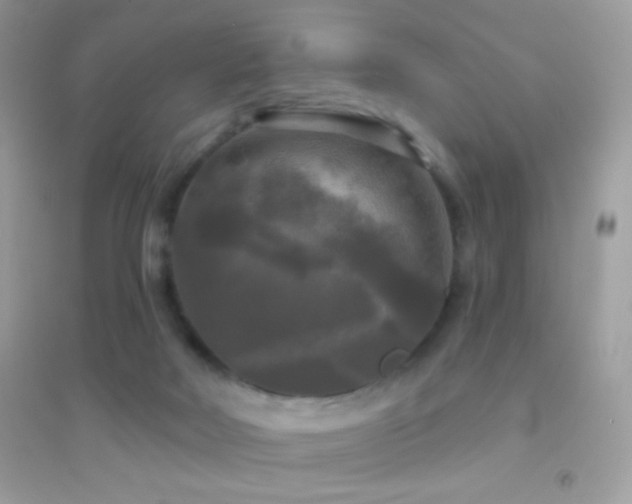 X0000095110026200712071228