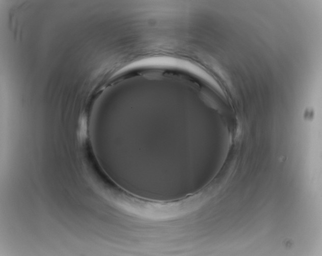 X0000095110027200712071228