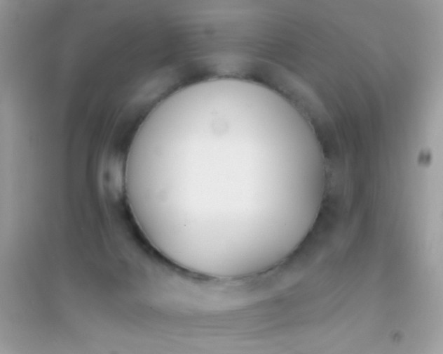 X0000095110028200712071228