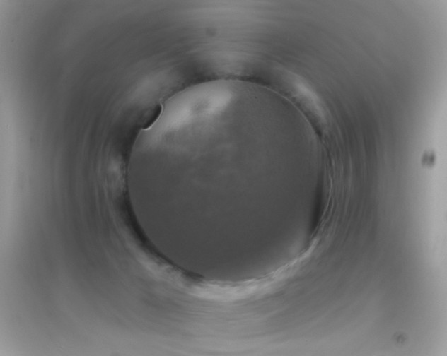 X0000095110029200712071228