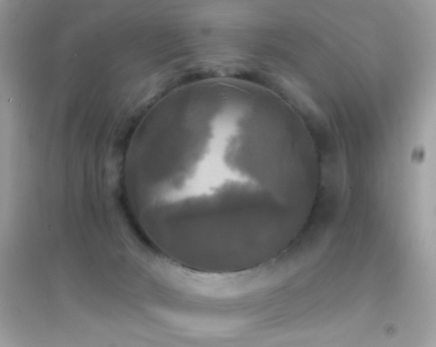 X0000095110030200712071228