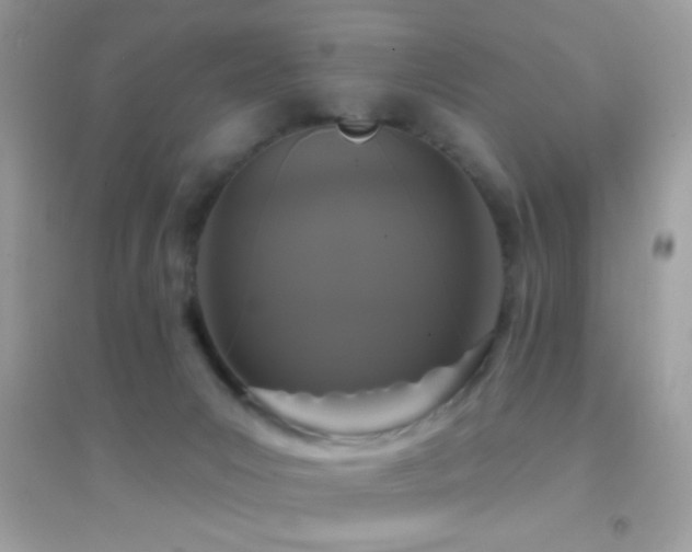 X0000095110031200712071228