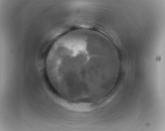 X0000095110032200712071228