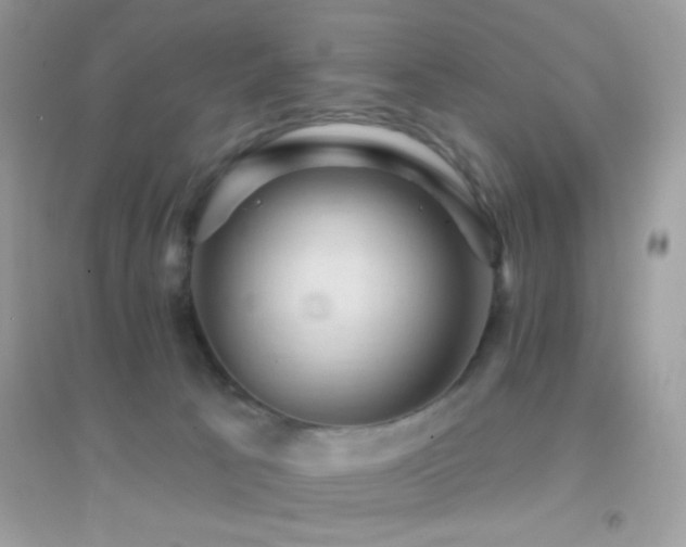 X0000095110033200712071228