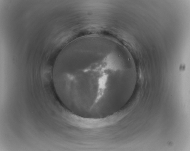 X0000095110034200712071228