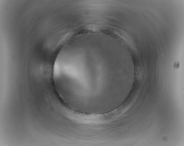 X0000095110036200712071228