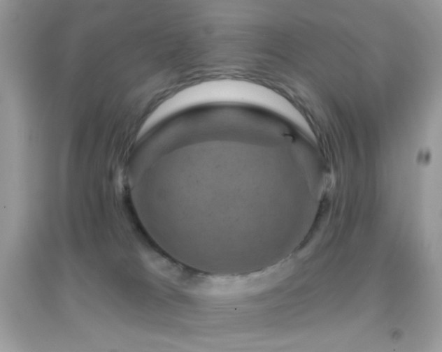 X0000095110037200712071227