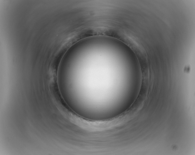 X0000095110038200712071227