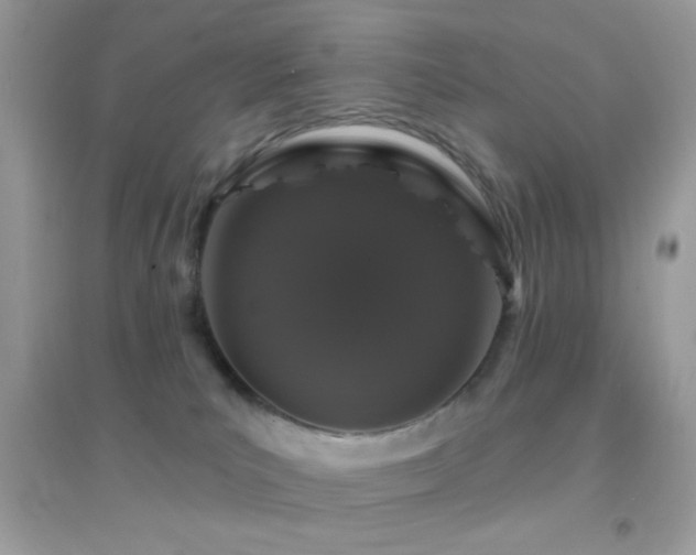 X0000095110039200712071227