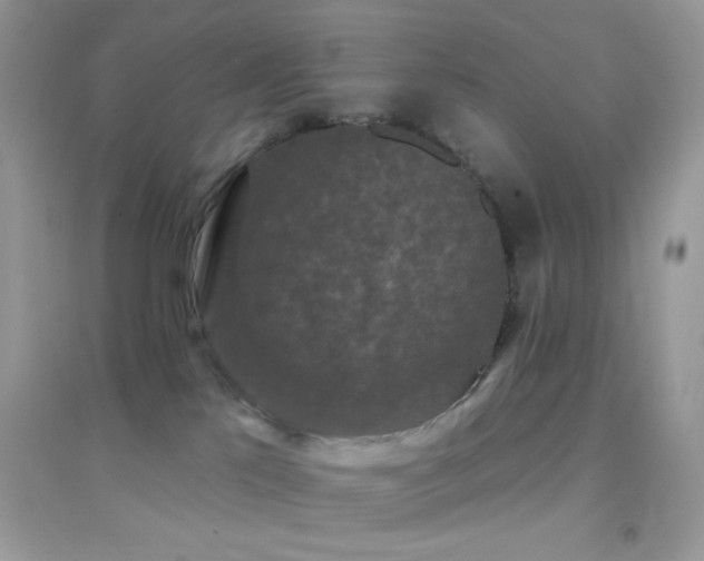 X0000095110041200712071227