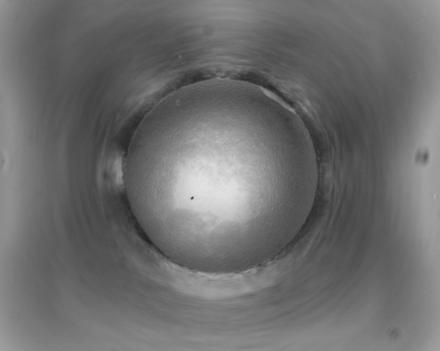 X0000095110042200712071227