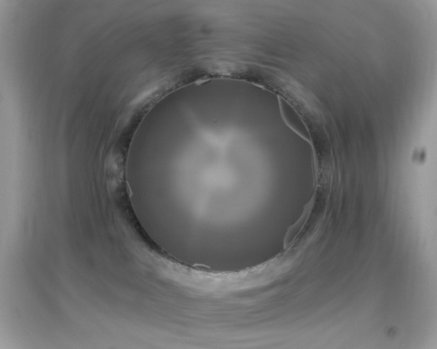 X0000095110043200712071227