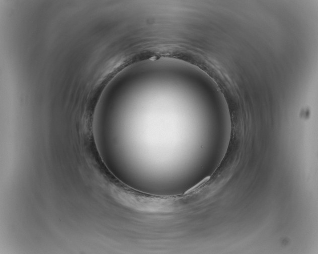 X0000095110044200712071227