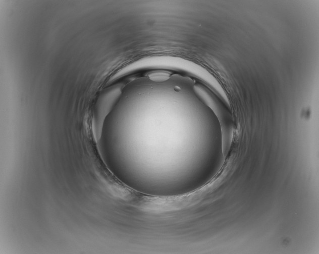 X0000095110045200712071227