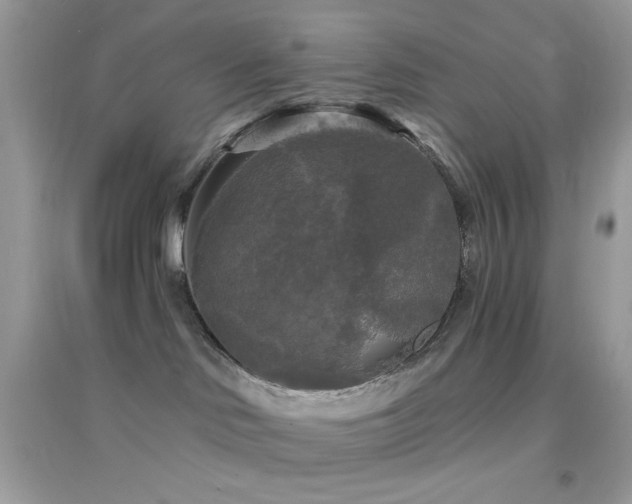 X0000095110046200712071227