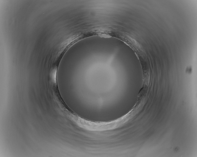 X0000095110047200712071227