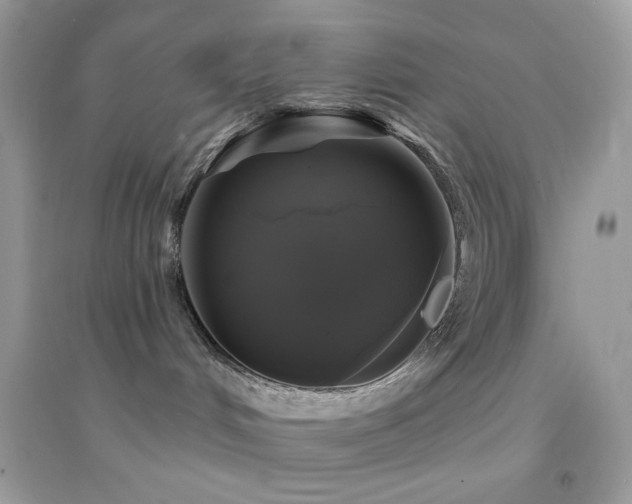 X0000095110048200712071227