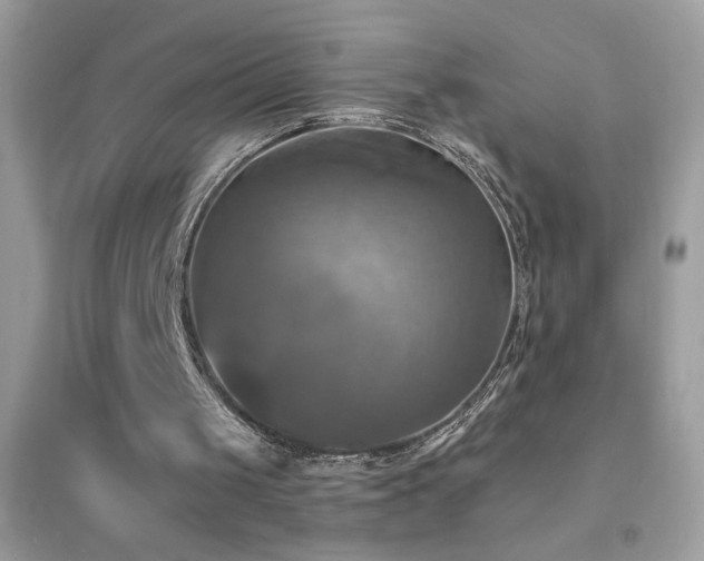 X0000095110049200712071227