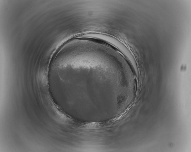 X0000095110050200712071227