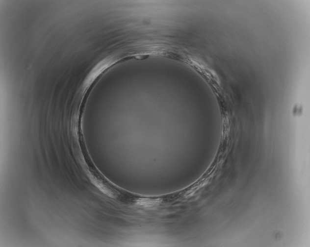 X0000095110051200712071227