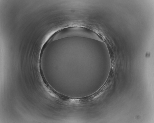 X0000095110052200712071227