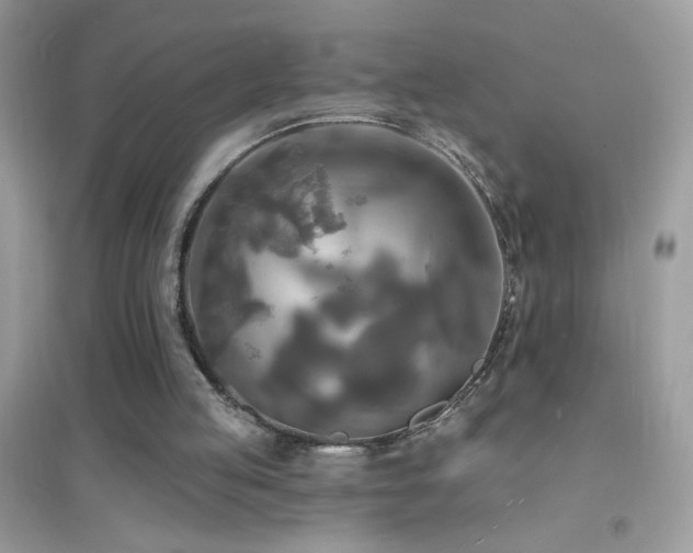 X0000095110053200712071227