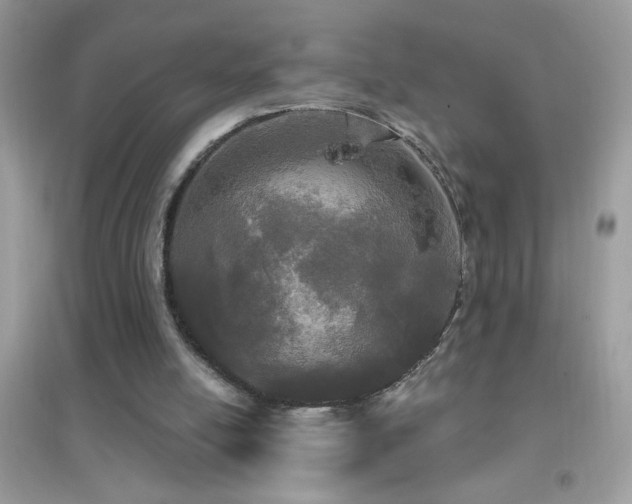 X0000095110054200712071227