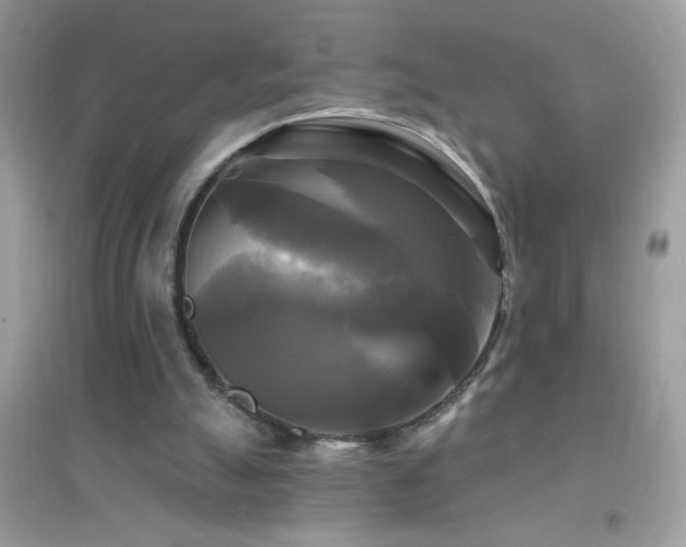 X0000095110055200712071227