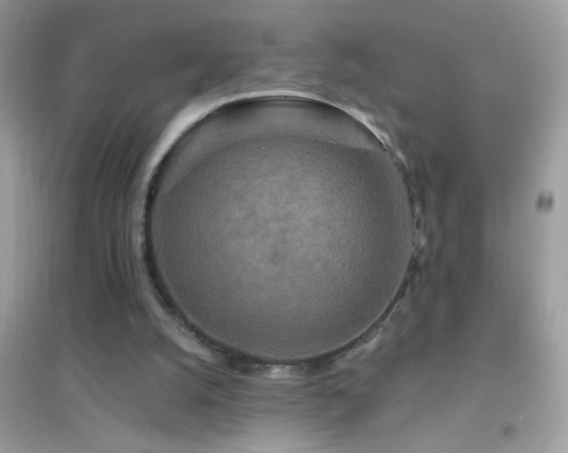 X0000095110056200712071227