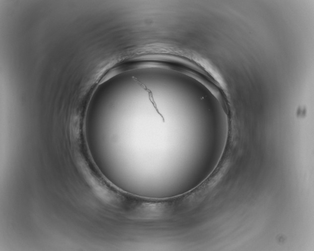 X0000095110057200712071227