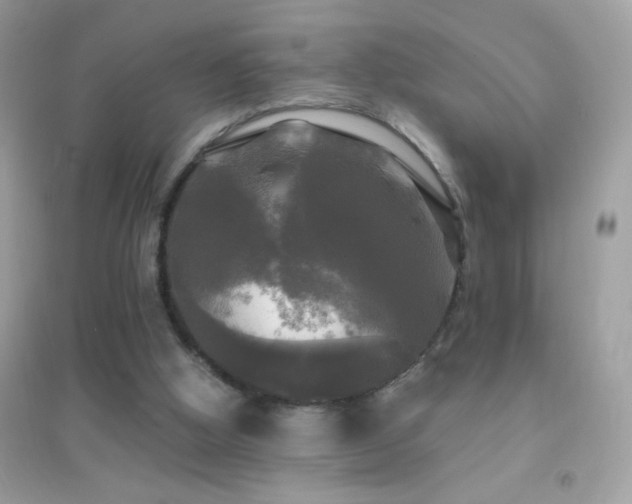 X0000095110058200712071227