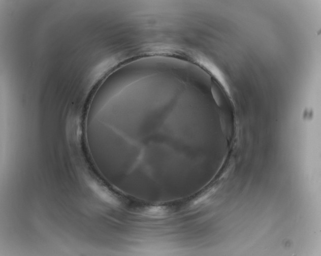 X0000095110059200712071227