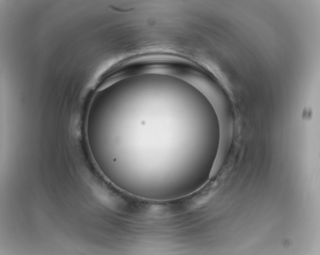 X0000095110060200712071227