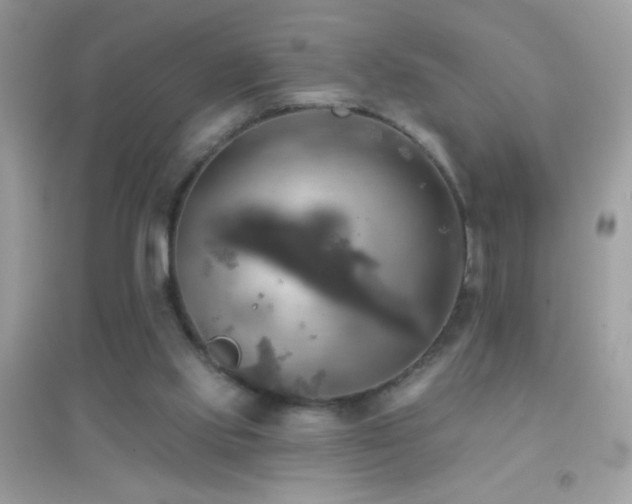 X0000095110061200712071227